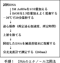 DNAのエタノール沈殿法