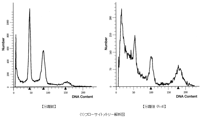 フローサイトメトリー解析図