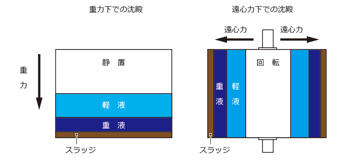 重力化での沈殿と遠心力下での沈殿の原理