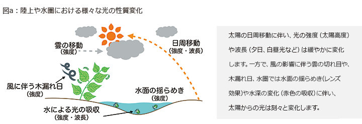 図a：陸上や水圏における様々な光の性質変化