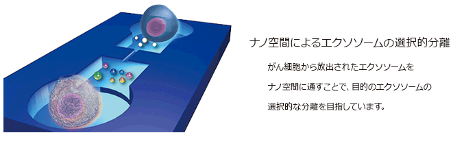 ナノ空間によるエクソソームの選択的分離