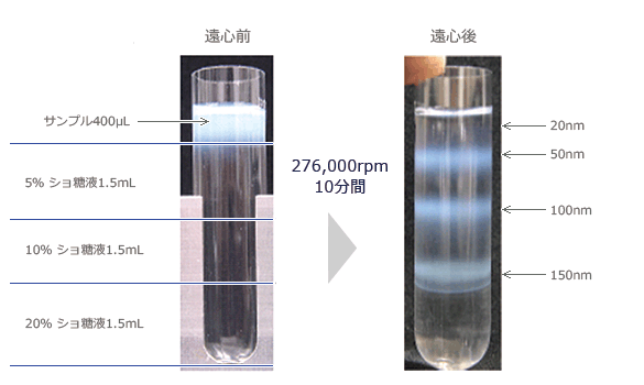 遠心前と遠心後の分離結果